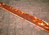 ���̃T�r�ƃR���j�A���̎���